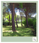 Villa Taccina foto spazio esterno