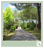 Villa Taccina foto spazio esterno